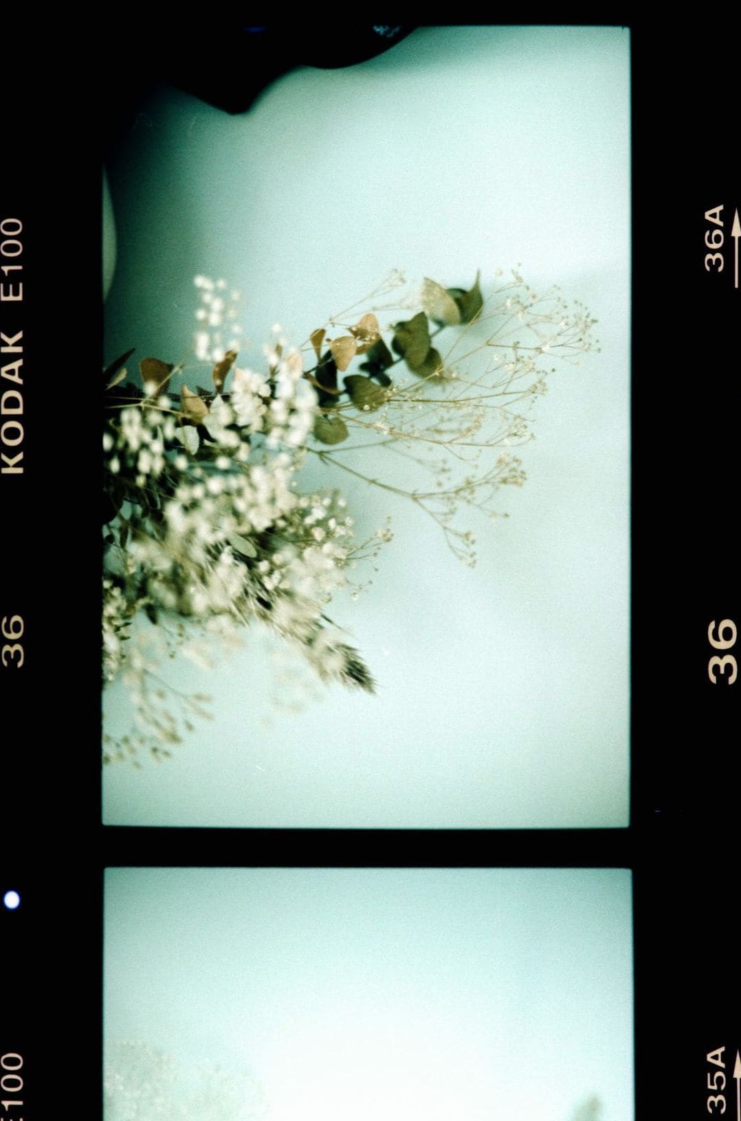 フォトアトリエ結 2